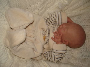 jimmy_b_b__reborn_1