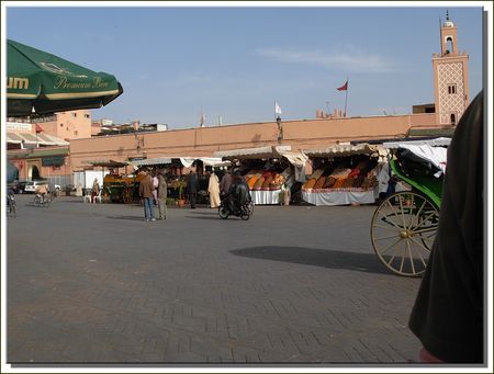 marrakech__262_