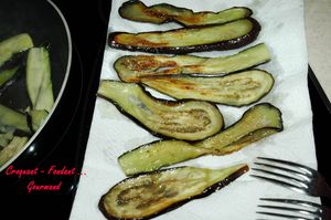 Parmesane_d_aubergines__DSC_6547_4383