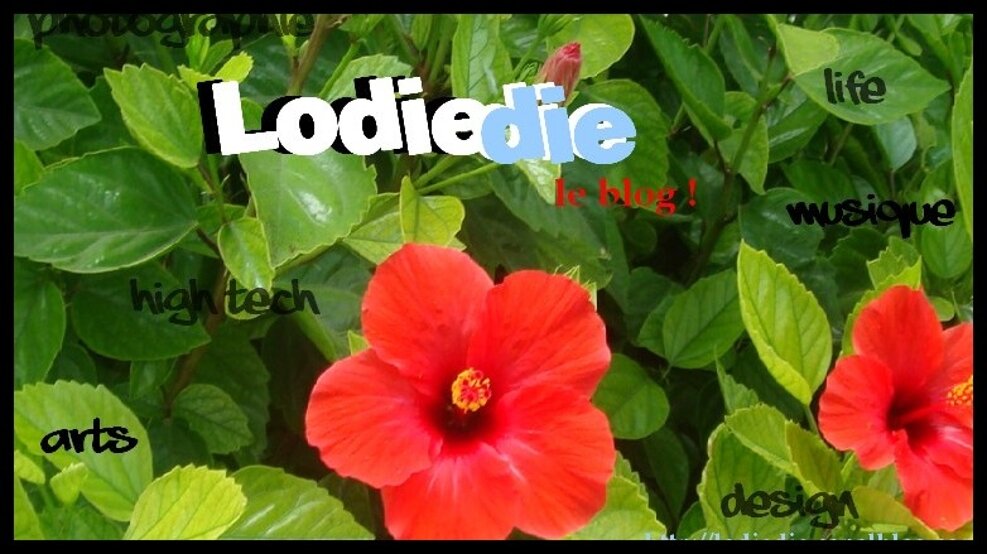 Lodiedie. ...