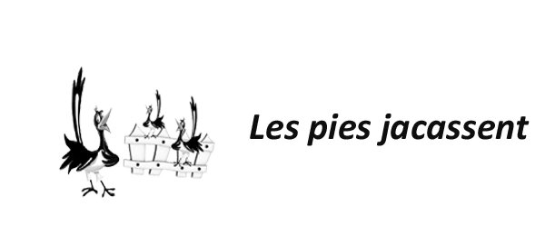 Les pies jacassent