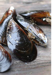 moules