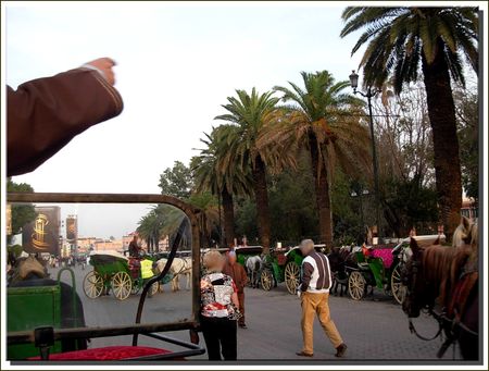 marrakech__488_