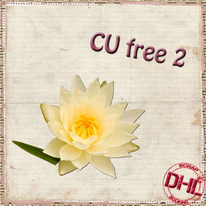Dhl_CUfree2