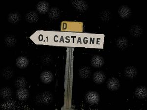 castagne_by_louisianne