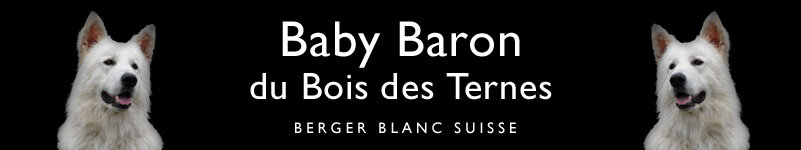 Baby Baron du Bois des Ternes