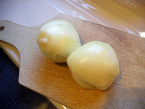 DSCN0446