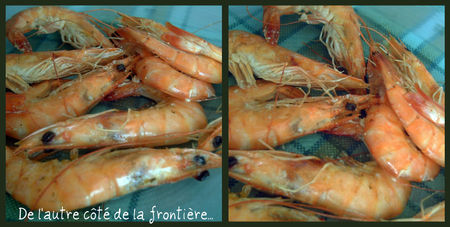 gambascollage