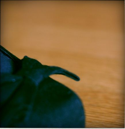 IMG_3016_pola