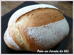 levain1