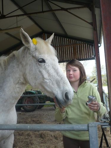 2010paq2 - Lucie (17)