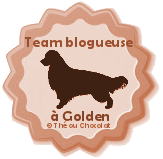 http://chokomag.com/team-blogueuse-a-chien/