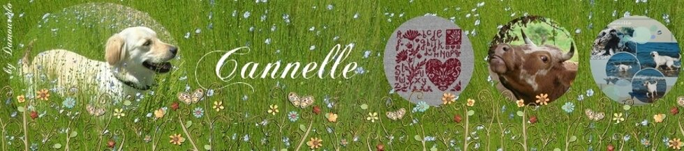 Le blog de Cannelle