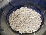 DSCN3805_2