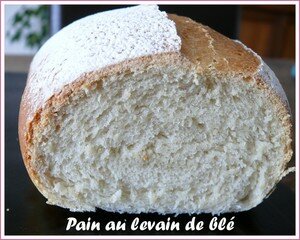 levain