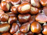 castanas