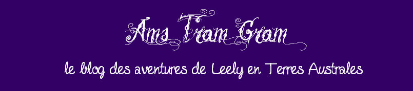 Le blog de Leely ~ Ams Tram Gram