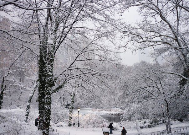 central_park_4_fev_10