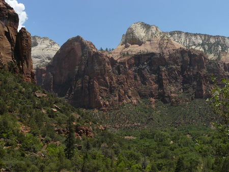 P1000550