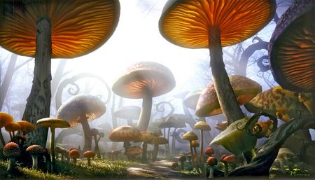 conceptartmushroomforest_703696