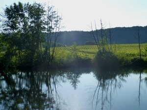 Lot juin 2013 (1053)