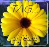 tag