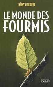 fourmis