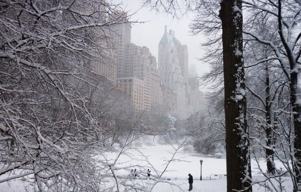 central_park_2_fev_10