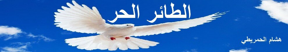 الطير الحر : هشام الحمريطي