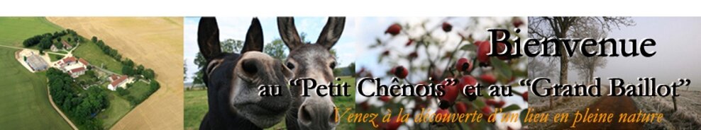 Bienvenue Au "Petit Chênois" et au "Grand Baillot"