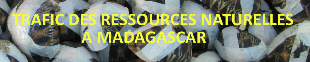 Trafic des ressources naturelles de Madagascar: Parlons-en!