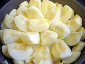 DSCN6651