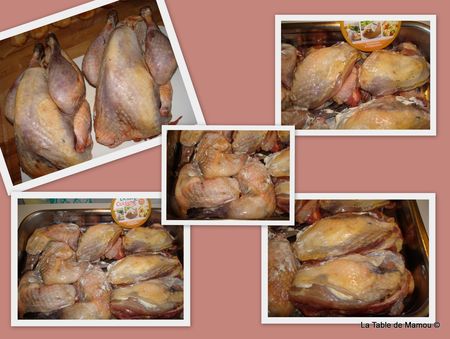 pintade1