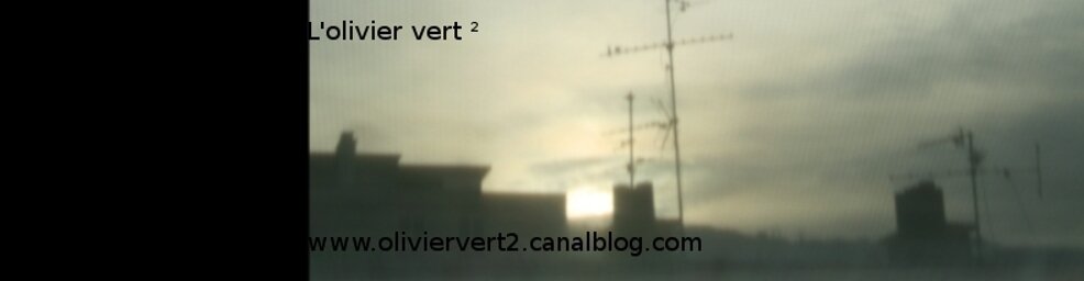 L'oliviervert2