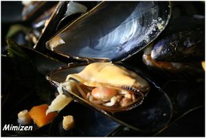 moules_3_m