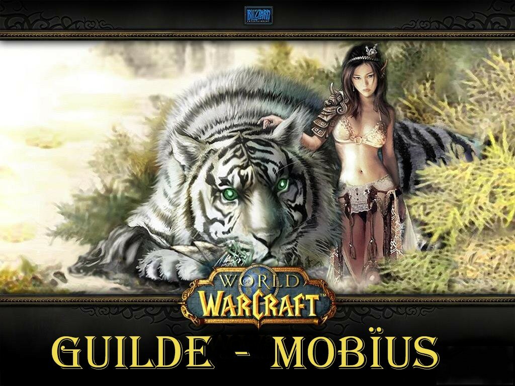 la guilde mobïus