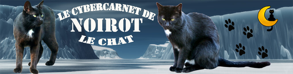 Le cybercarnet de NOIROT le chat