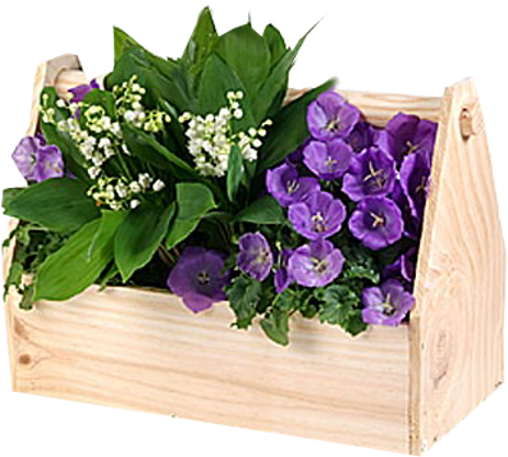 0_muguet1