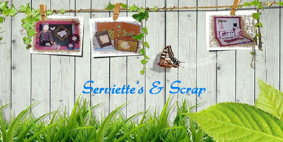 Serviette's & Scrap