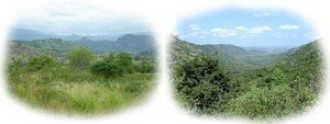 paysages_de_montagnes