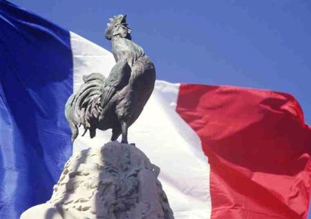 Coq_France
