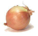 oignon