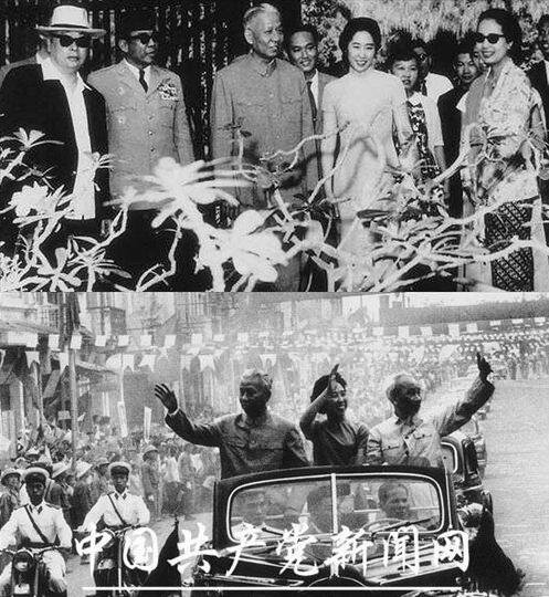 _yartiWangGuangmei50