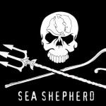 sea_shepherd2_150x150