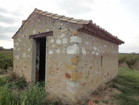 DSC04199