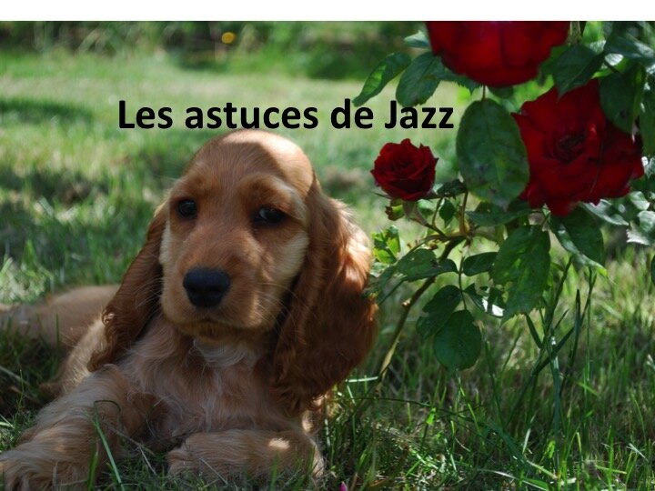 Les Astuces de Jazz