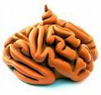 brainwash