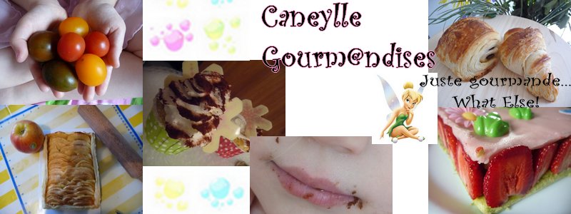 caneylle gourmandises