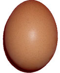 huevo