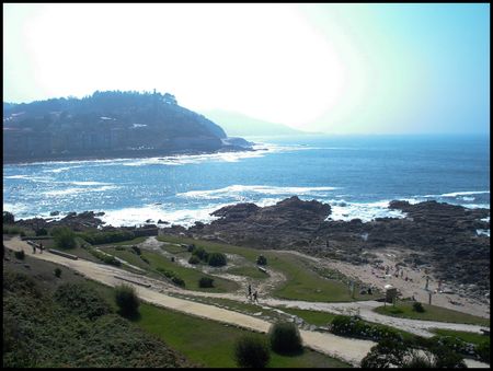 DSC02353